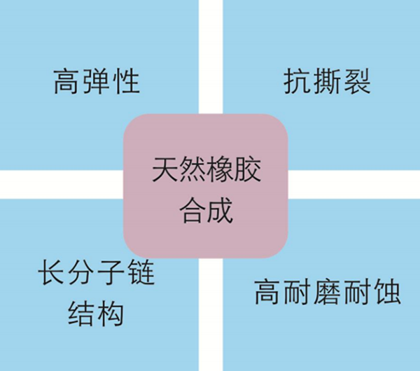 膠管特點